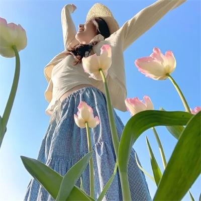端岛计划